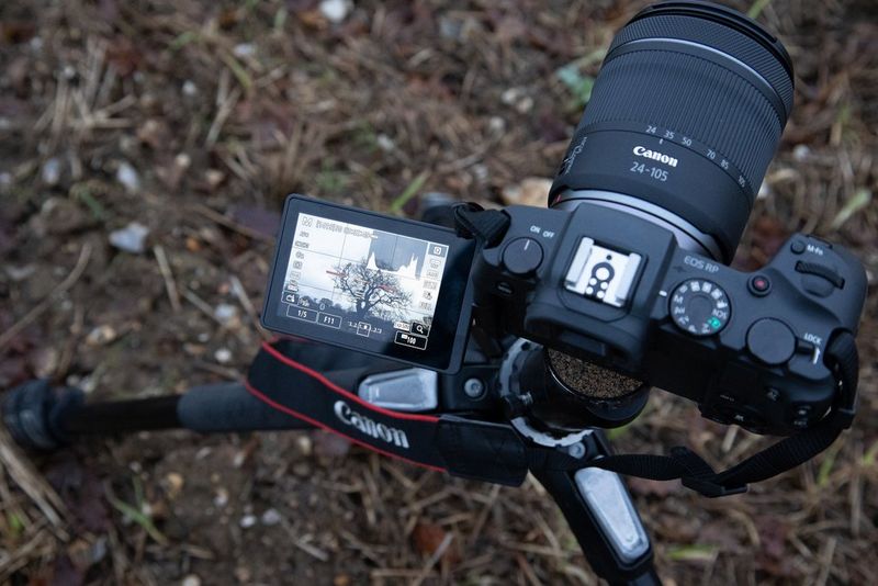 A shot of a Canon EOS RP on a tripod, showing grid lines and electronic level on the flip out screen.