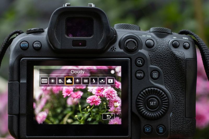 Il touchscreen sul retro di una fotocamera Canon mostra fiori rosa e la modalità fotocamera impostata su Nuvoloso.