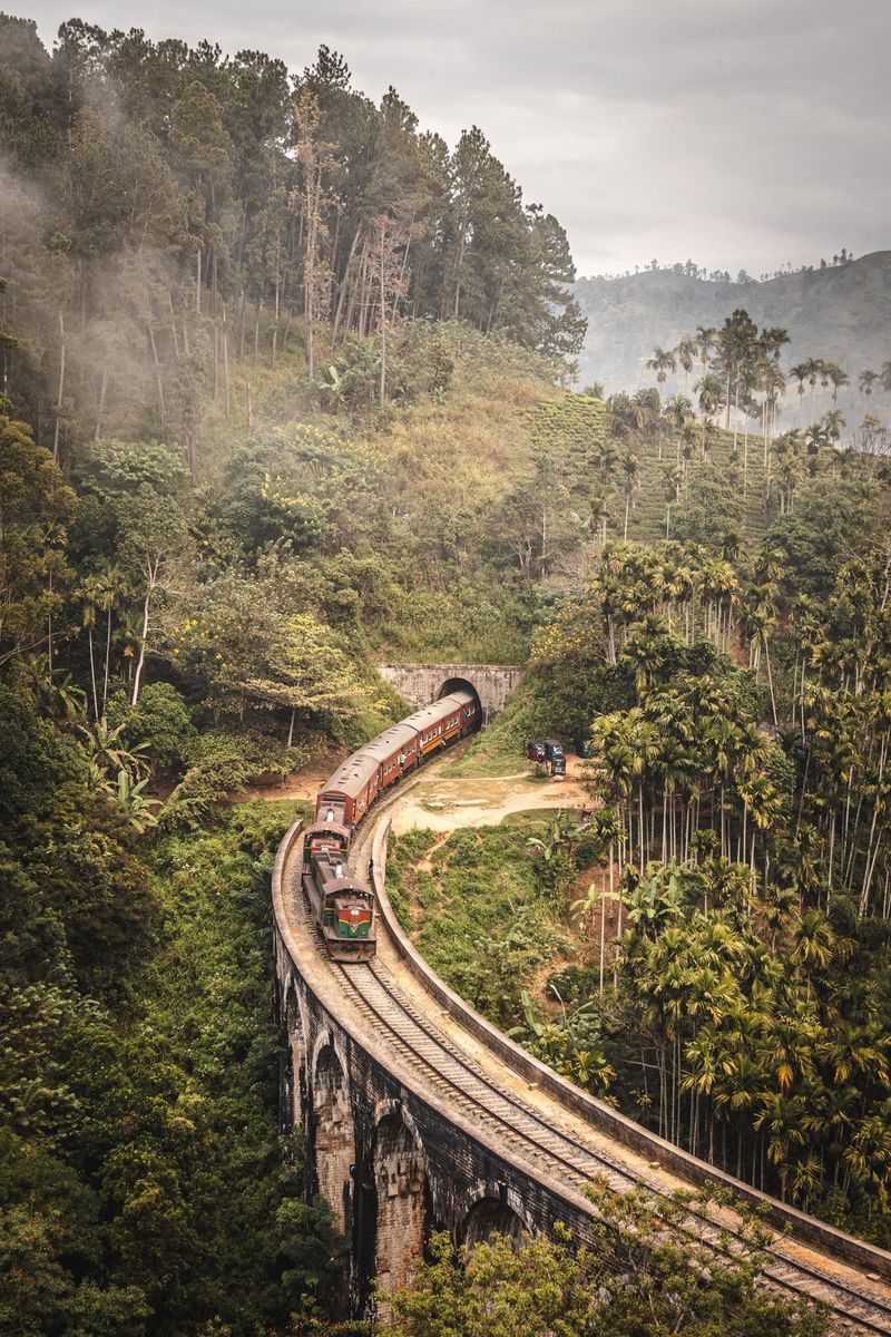 A train emerges from a tunnel to cross a curving viaduct surrounded by lush forest. Taken by Martin Bissig on a Canon EOS R10.