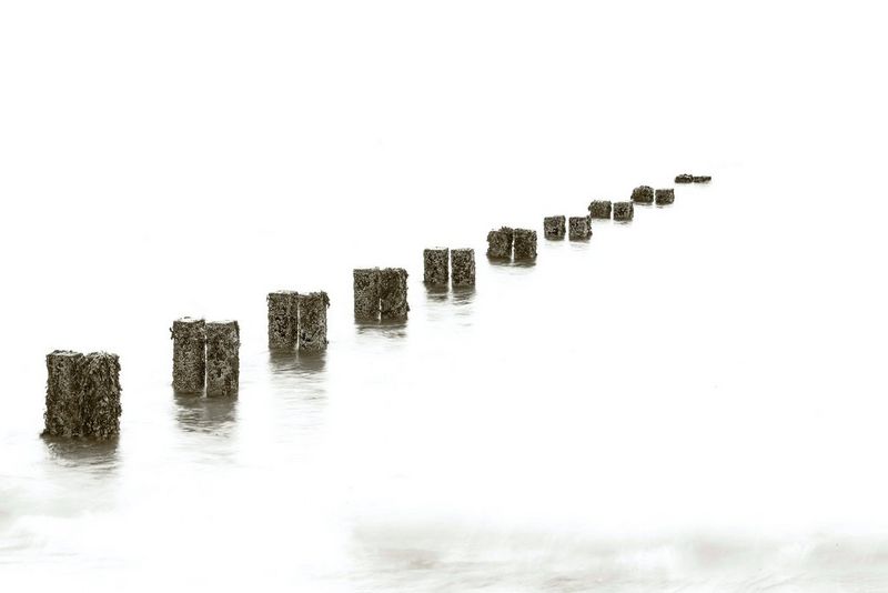 Un dig din lemn iese din apă într-o linie diagonală, întunecat pe un fundal luminos în această imagine monocromă.