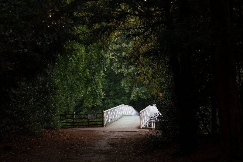 O imagine complet color a unui pod alb luminat în centrul frunzişului întunecat al copacilor.