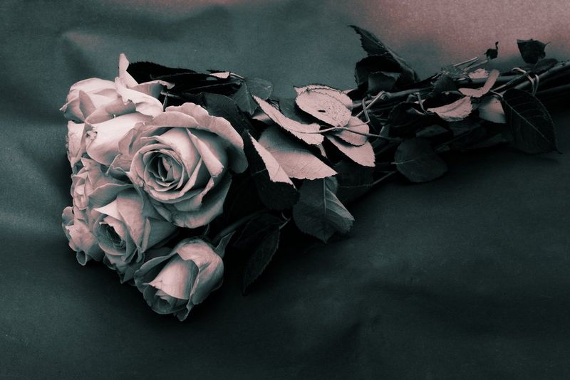 O imagine monocromă a aceluiaşi buchet de trandafiri cu canalele de culoare roşie ajustate şi o nuanţă ştearsă de roşu aplicată, astfel că buchetul pare a fi un purpuriu foarte pal.