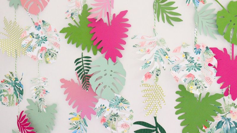 Biophilic decorations: let nature breathe life into your home