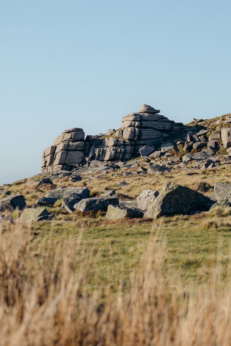Большое скалистое образование в удаленной болотистой местности в солнечный день.