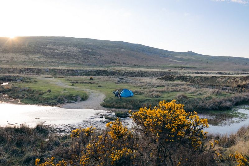 Посреди глухой болотистой местности можно увидеть человека и собаку рядом с синей палаткой, которая почти теряется на бескрайнем фоне.