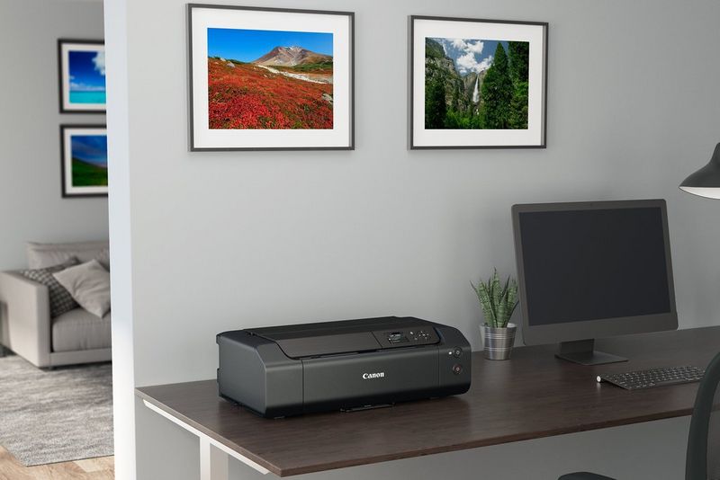 A Canon printer and monitor on a wooden desk. On the wall above are 2 colourful framed prints featuring landscapes.