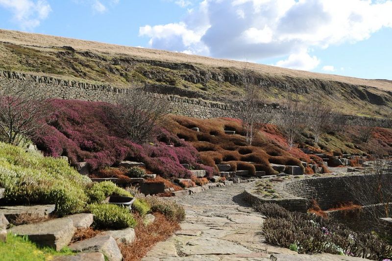 Multicoloured drifts of heather connect a garden to the hillside beyond, with blue sky in the background.