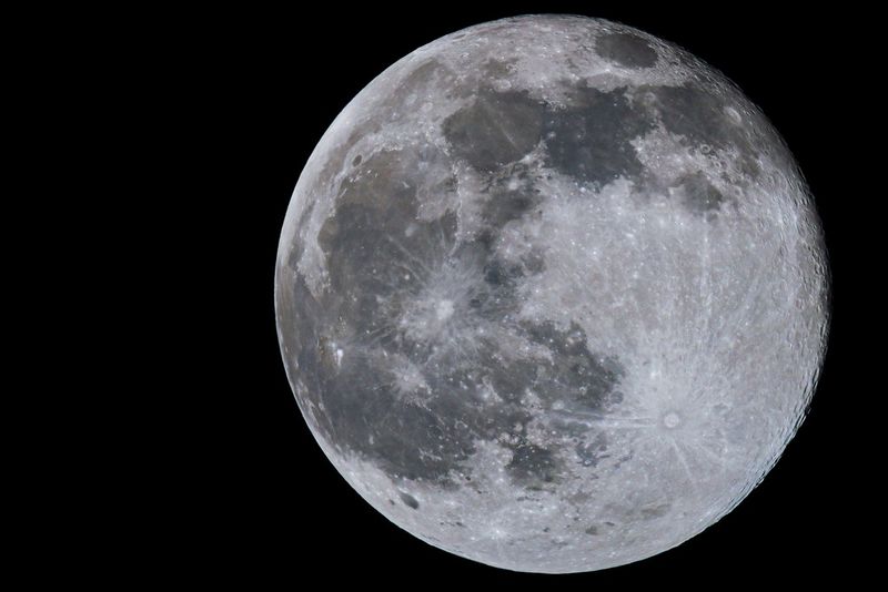 A close-up of a nearly full moon on a clear night.