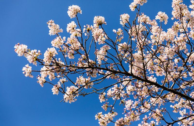 Time for a spring clean