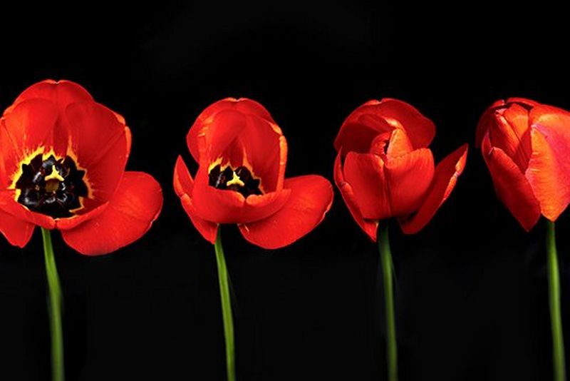 How to shoot time stacks