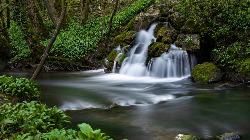 Profiter du plein air: 5 techniques pour la photographie aquatique