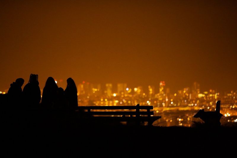 Obris divjega prašiča, ki teče ob klopi, na kateri sedijo ljudje, pred obzorjem mesta ob mraku.