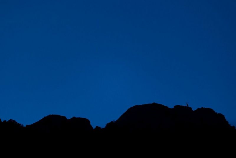 Obris skalnate pokrajine z rogato živaljo, vidno v daljavi na desni.