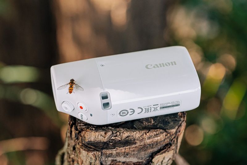 A hoverfly sat on a Canon PowerShot ZOOM resting on a tree stump.
