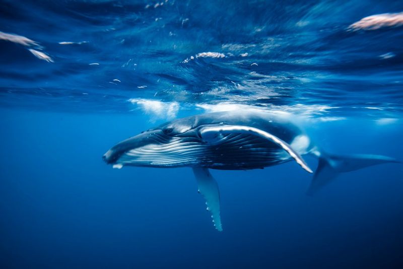 Inspiring a World of Change