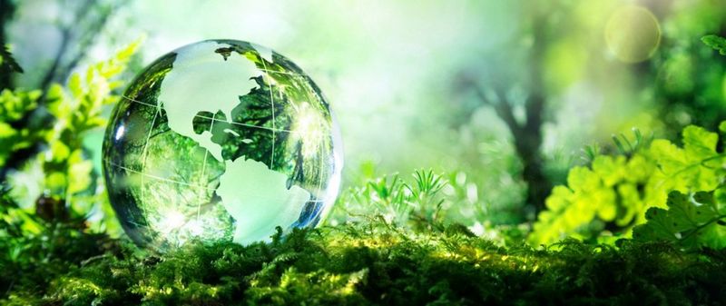 Enrichissez votre démarche éco-responsable avec l’offre seconde vie Canon