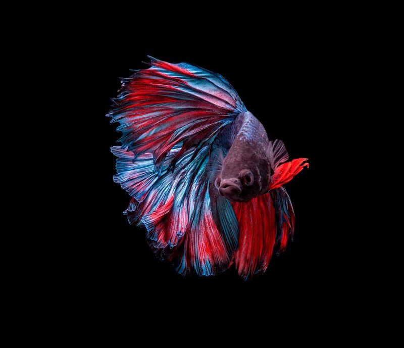 Navigating cyber security with Managed Print Services (MPS)