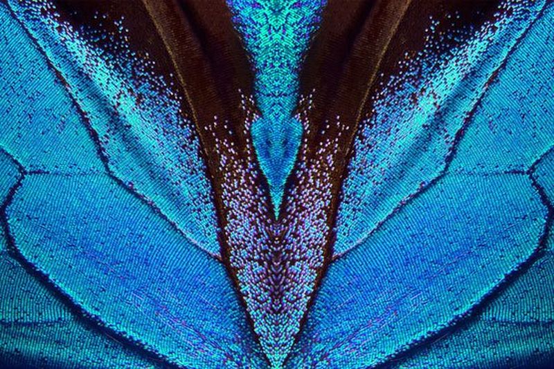 Graafisen teollisuuden ihmeet