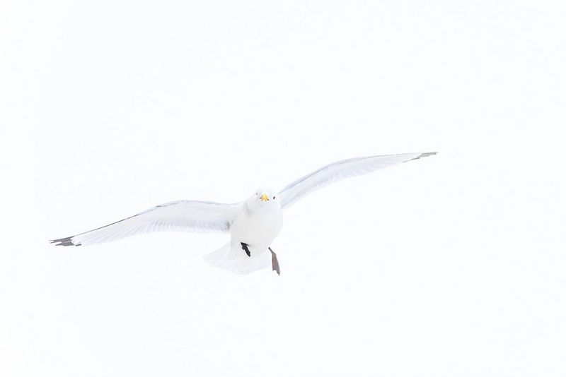 Fot. Katarzyna Gubrynowicz