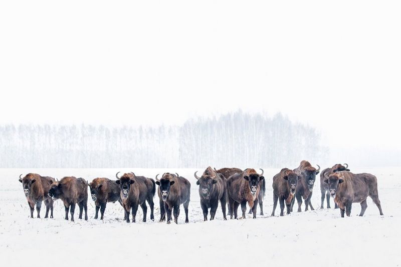 Fot. Katarzyna Gubrynowicz