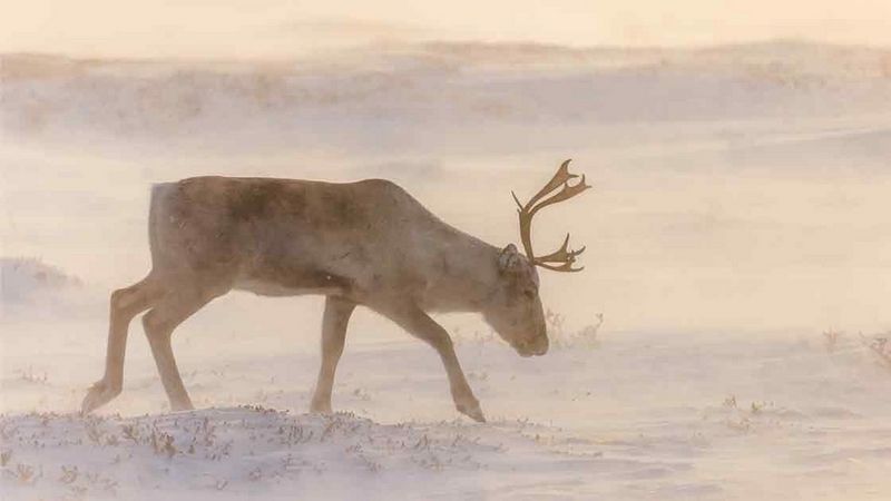 Kilka słów o indywidualnych ustawieniach aparatu