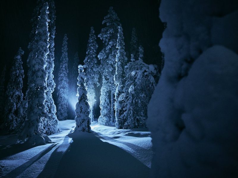 2022, NOS MEILLEURS MOMENTS