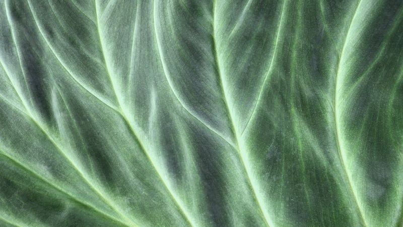 RAPORTOWANIE ESG W KONTEKŚCIE FIRM Z BRANŻY POLIGRAFICZNEJ