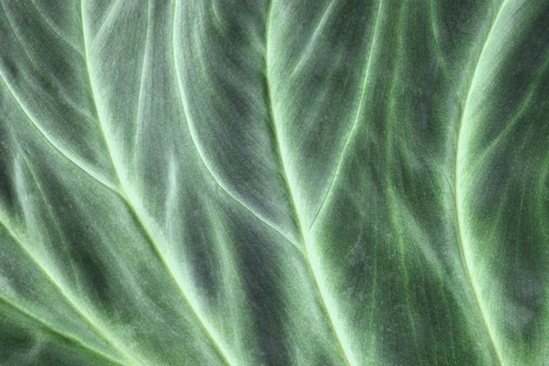 TEMAT NUMERU: RAPORTOWANIE ESG W POLIGRAFII