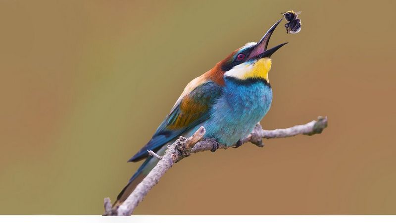 01.05 do 31.10.2023 r.  WIELKI TEST SYSTEMU  EOS R