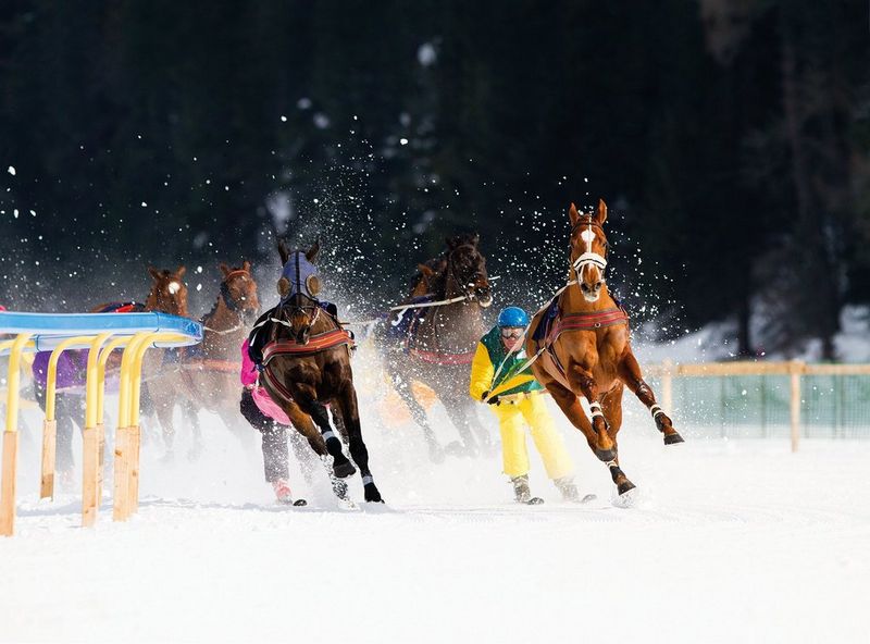 FOCUS SUR 2024 : RETROSPECTIVE CANON 2024