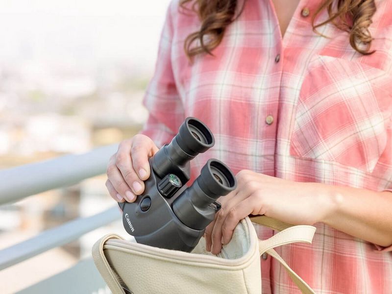 Birdwatching brightness 