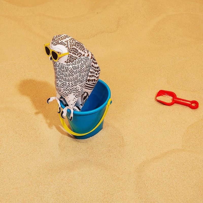 ANYTHING YOU CAN IMAGINE.