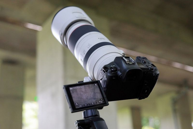 A mounted Canon camera with telephoto lens points at the underside of a concrete bridge.