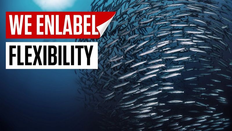 Embrace the unexpected with confidence