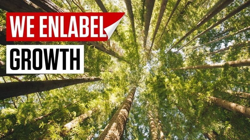 Stand out from the crowd