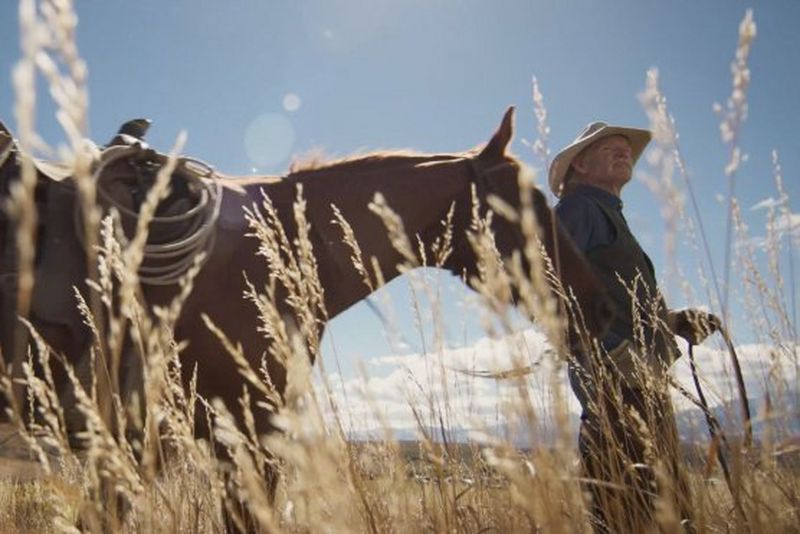 Outstanding image quality