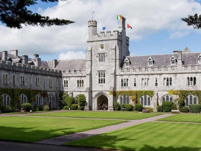 Cantek, case study, partner, exterior, landscape