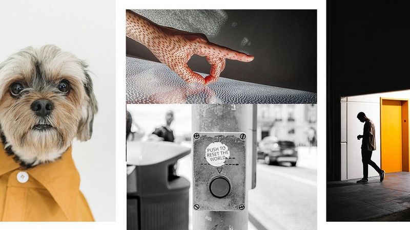 Tryck på knappen. En enkel knapptryckning gör att din dator håller sig uppdaterad.