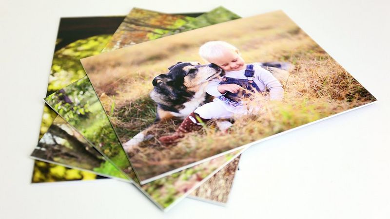 
       איכות תמונה מקצועית
     