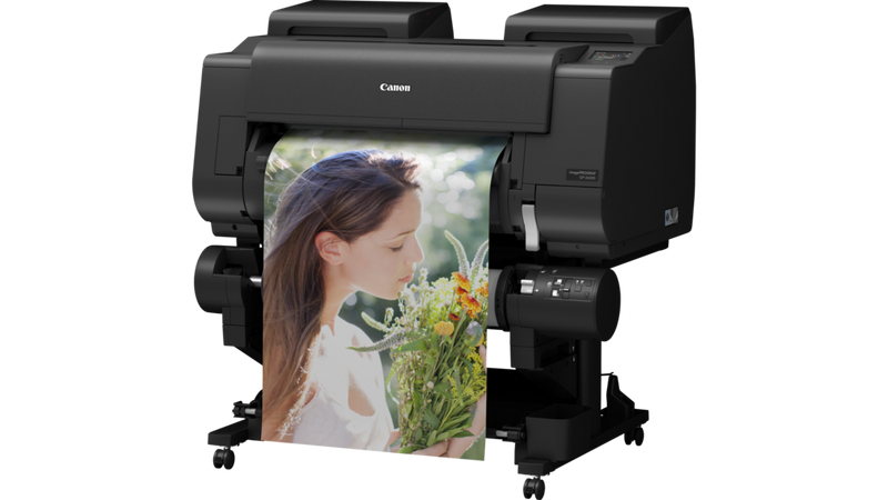 
       עמידות מוגברת
     