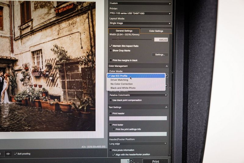 Een weergave van de Professional Print & Layout-software, waarbij Gebruik ICC-profielen is geselecteerd.