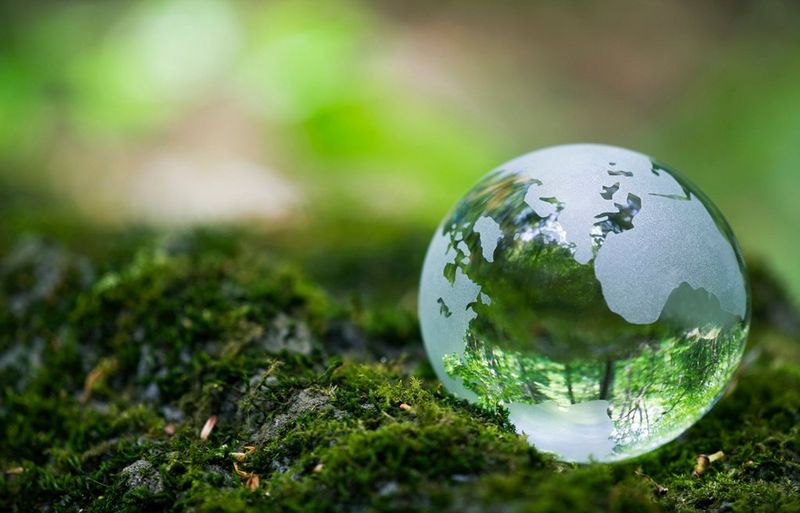 
      Support for sustainability
    