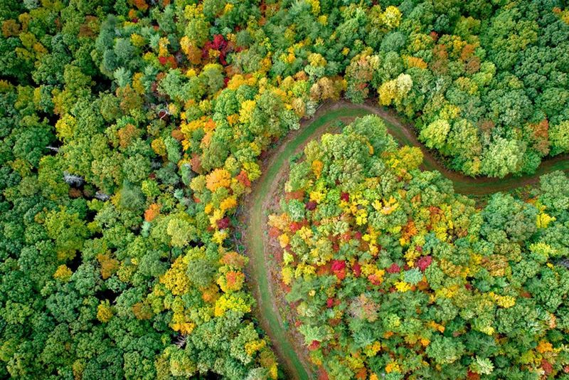 Sustainability - minimising environmental impacts with Canon