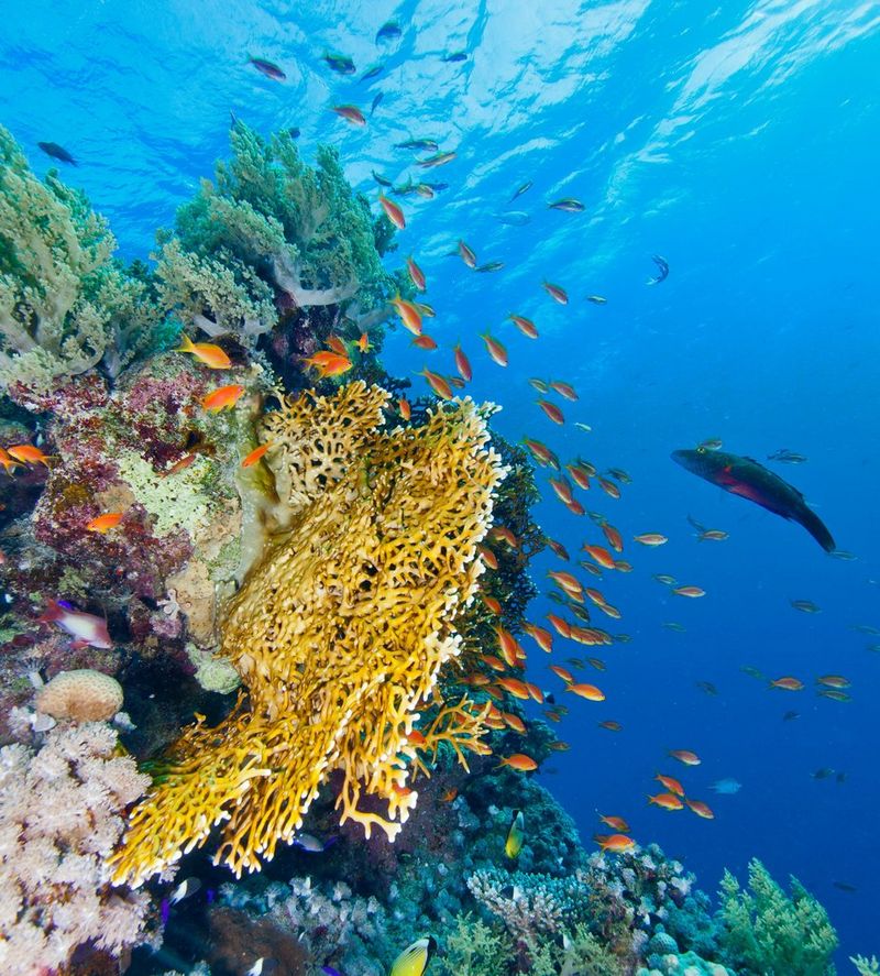 Why the Ocean Matters