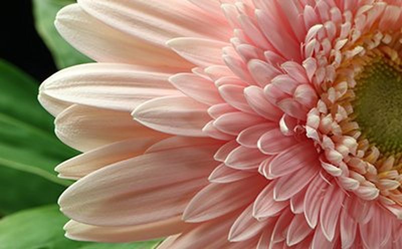 С гибридным стабилизатором изображения