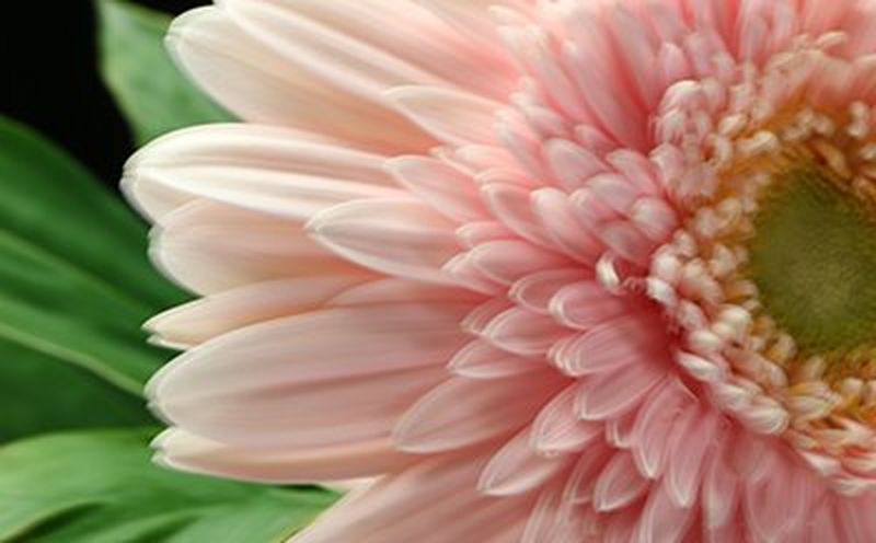 Без гибридного стабилизатора изображения