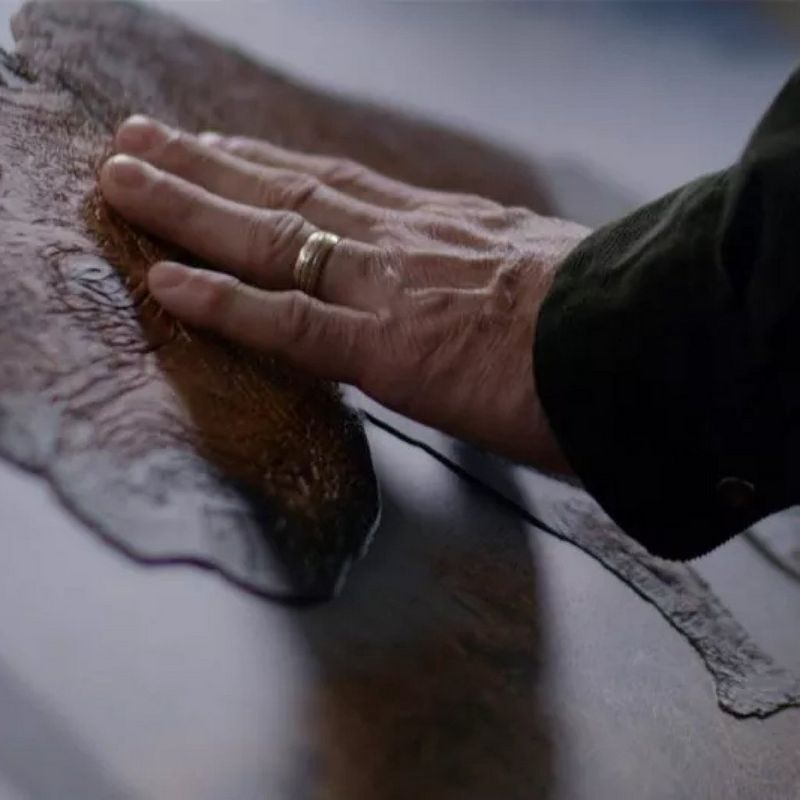 Una vasta gamma di supporti fisici