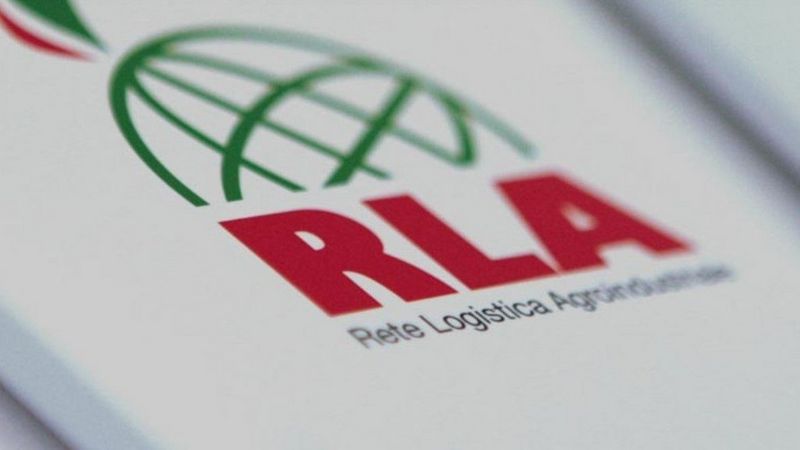 Immagine 2023-12-20 120947