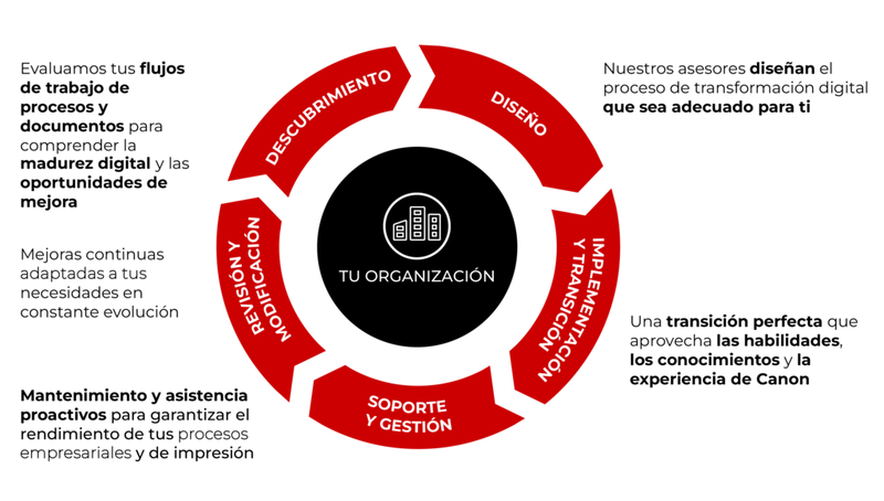 Un proceso de transformación continuo y personalizado