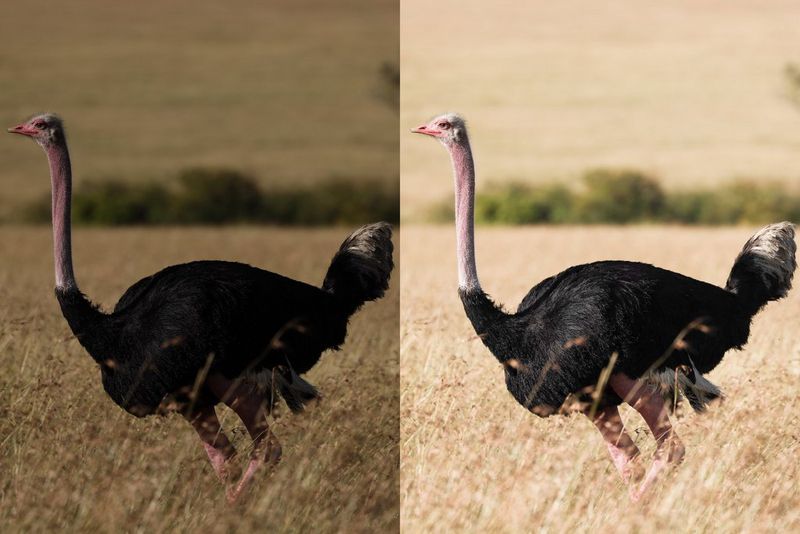 Exposure Compensation